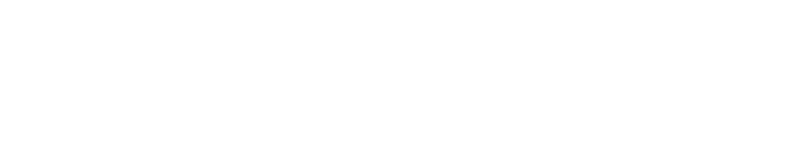 The Image Experience