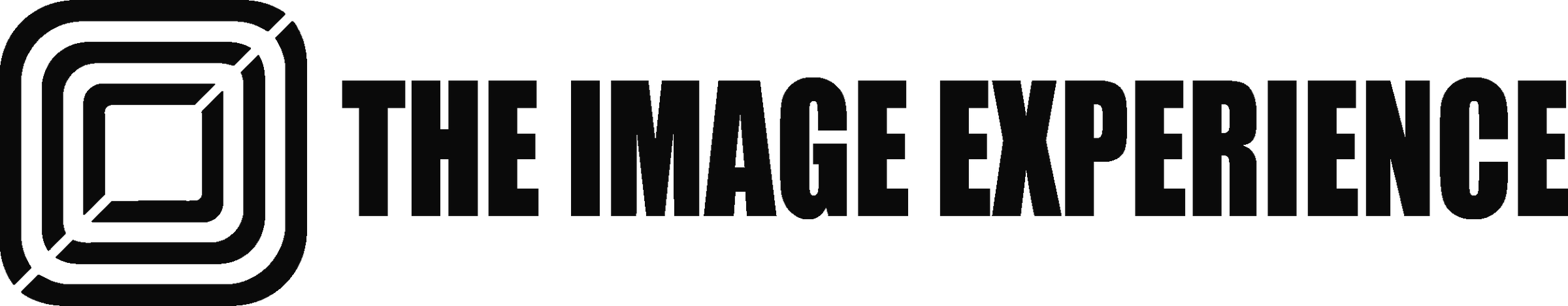 The Image Experience