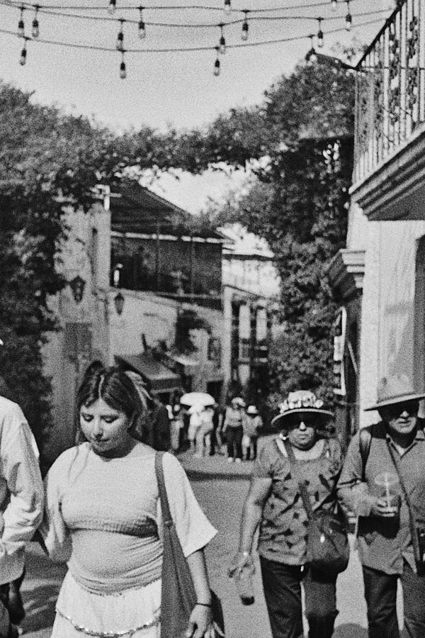 Paseantes caminando por un andador con enredaderas y focos colgantes